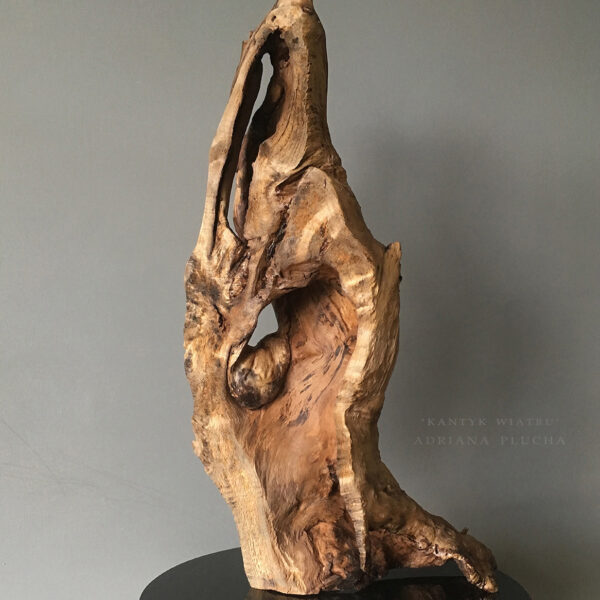 rzeźba do wnętrz, rzeźba do salonu, naturalny kamień i drewno na czarnym błyszczącym granicie, nowoczesna rzeźba