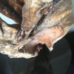 (English) The Canticle of the Wind detail sculpture